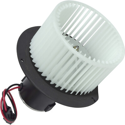 Blower Motor